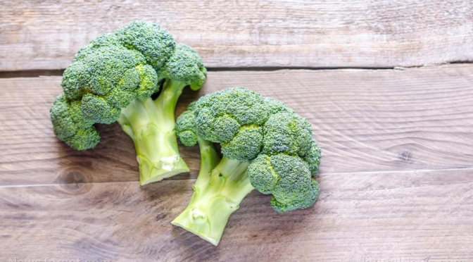 A Compound in Broccoli May Help Repair Brain Damage