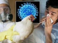 CDC Reports First Human Case Of Avian Influenza